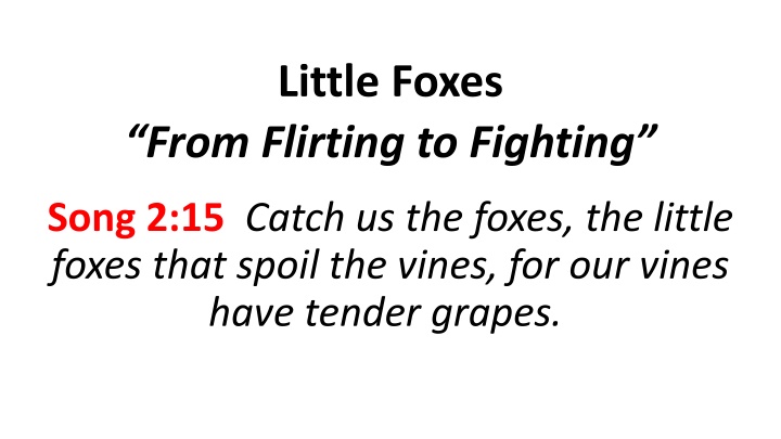 little foxes