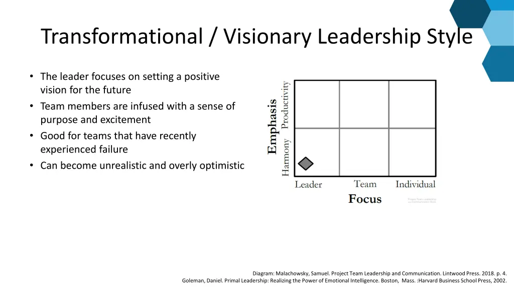 transformational visionary leadership style