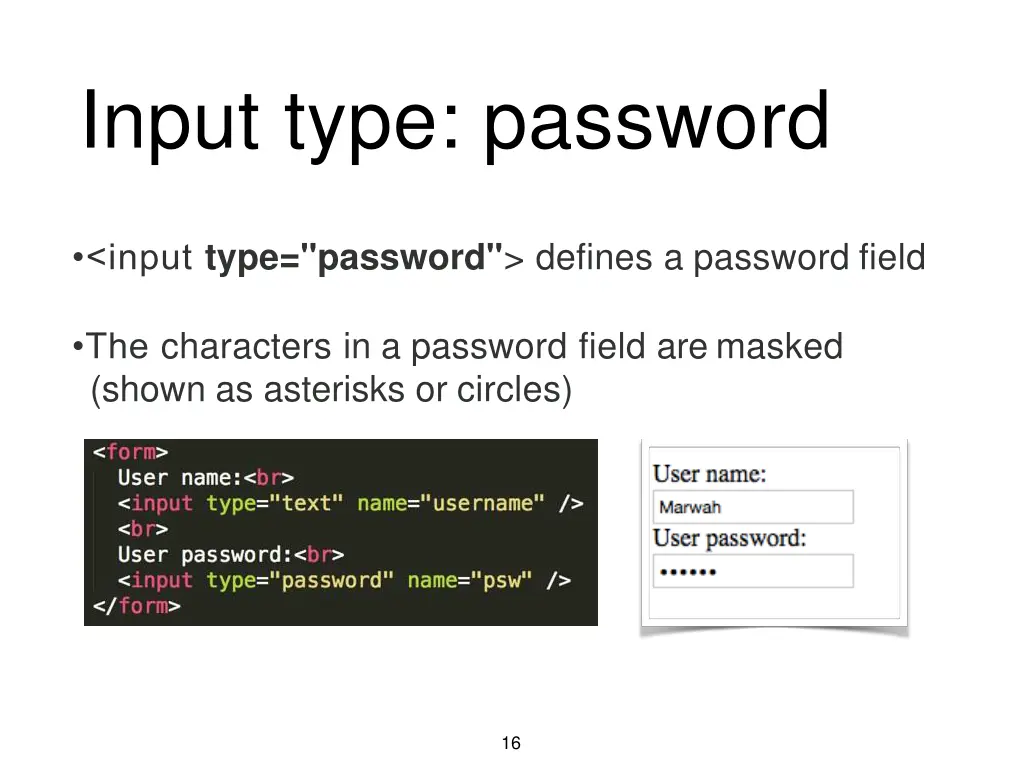 input type password