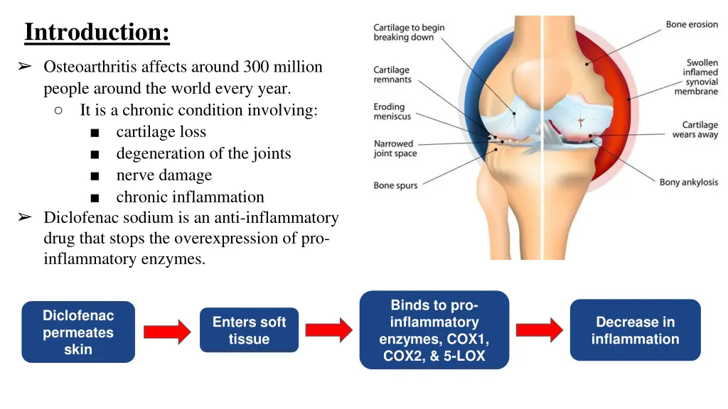 introduction osteoarthritis affects around