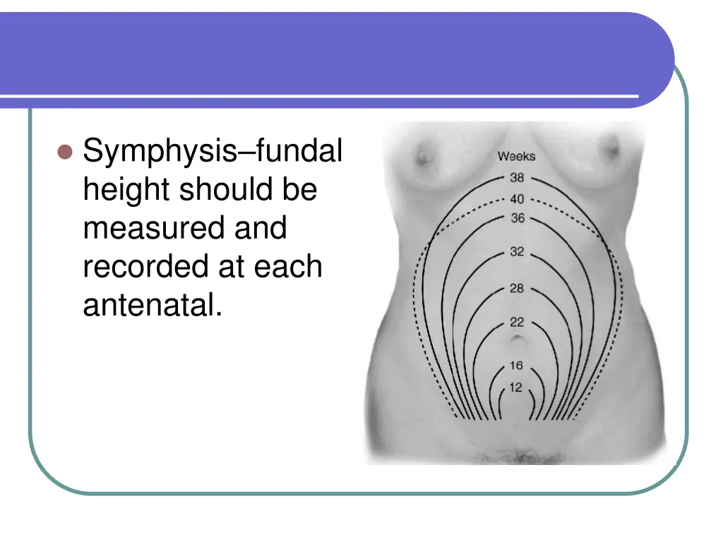 symphysis fundal height should be measured
