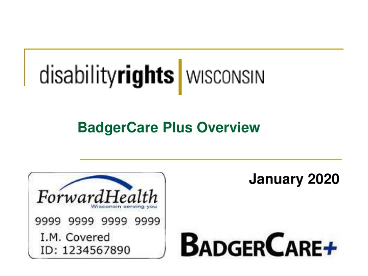 badgercare plus overview