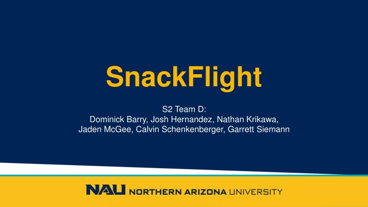 snackflight