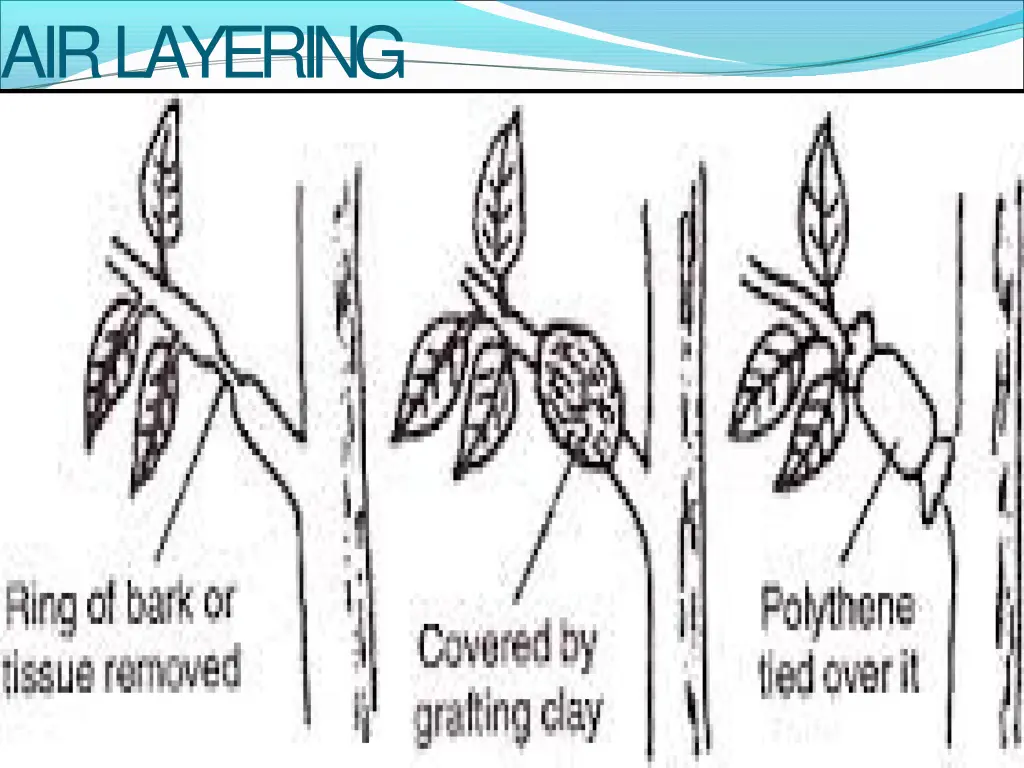 airlayering