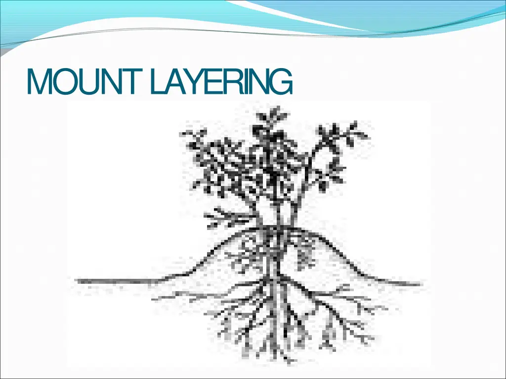 mountlayering