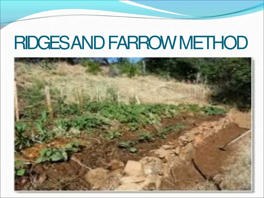ridges and farrowmethod