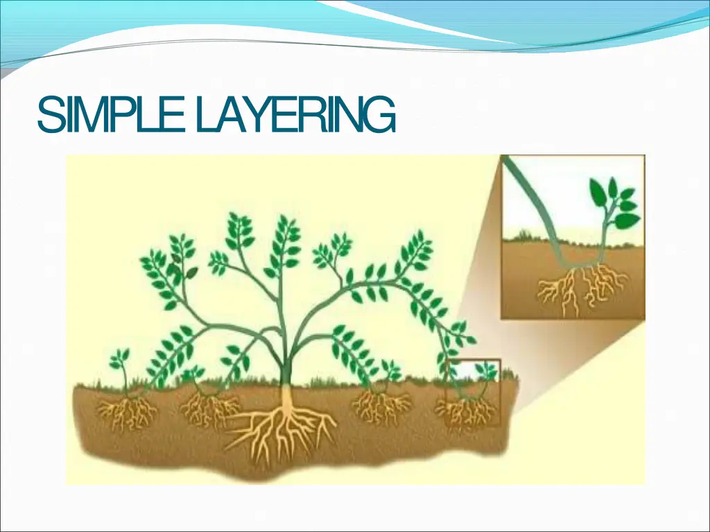 simplelayering