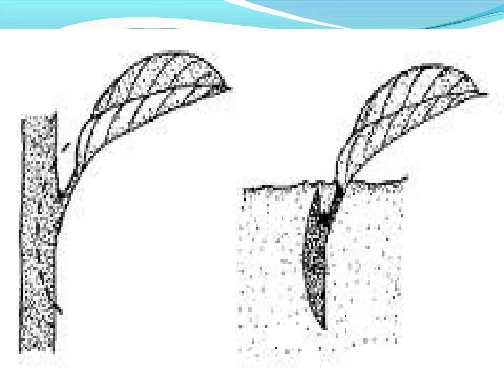 slide33
