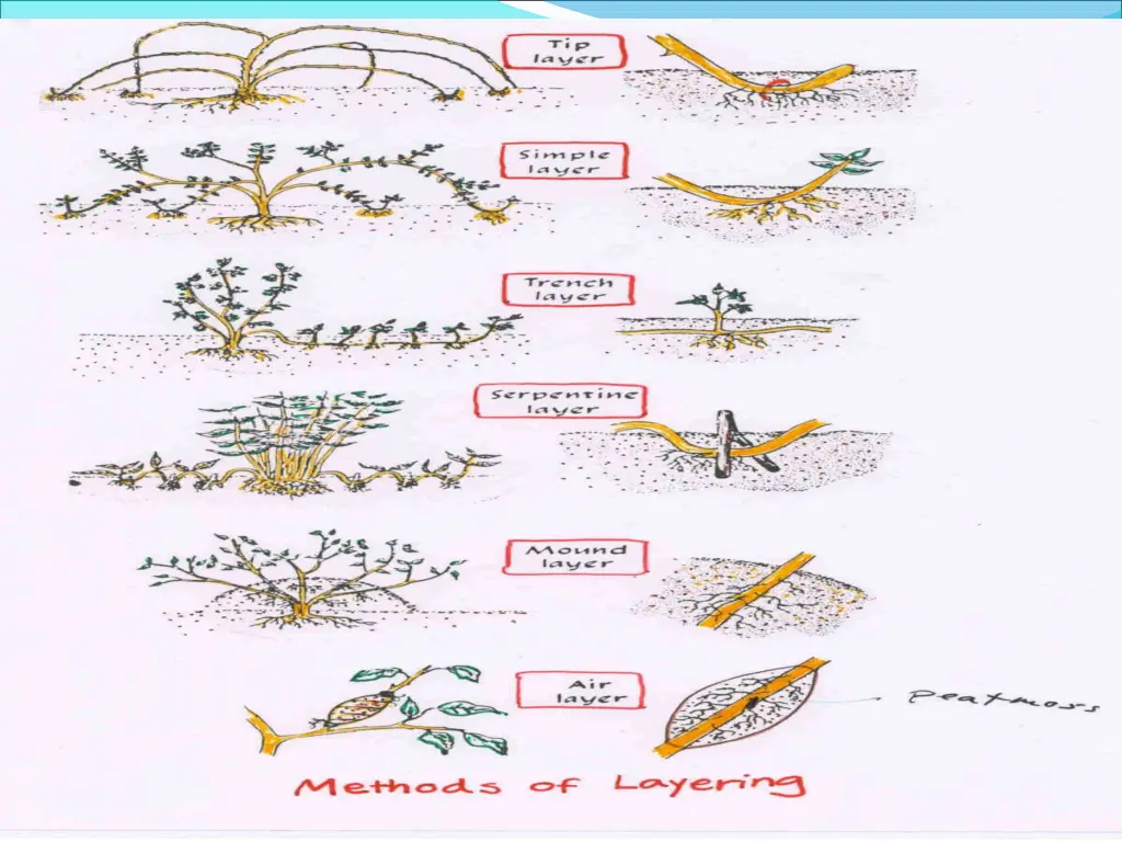 slide39