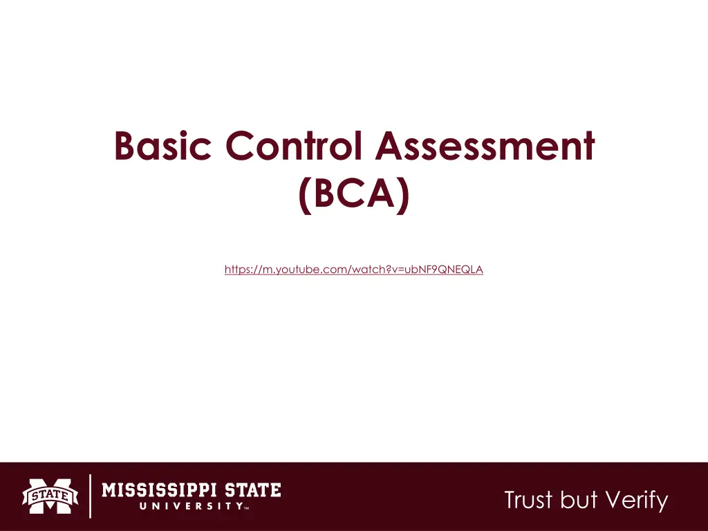 basic control assessment bca