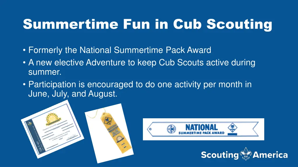 summertime fun in cub scouting