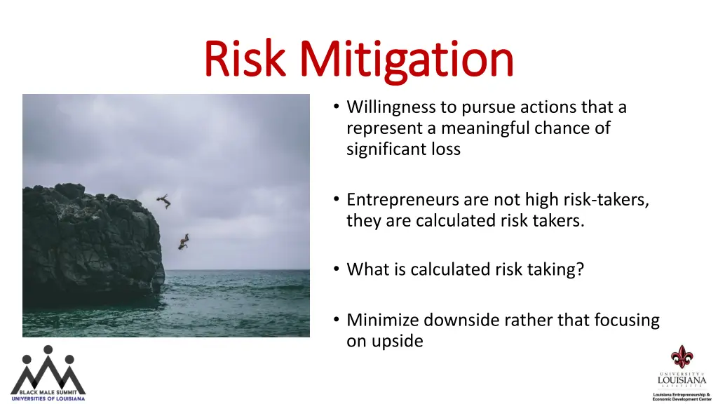 risk mitigation risk mitigation willingness