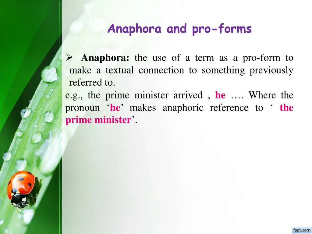 anaphora and pro forms