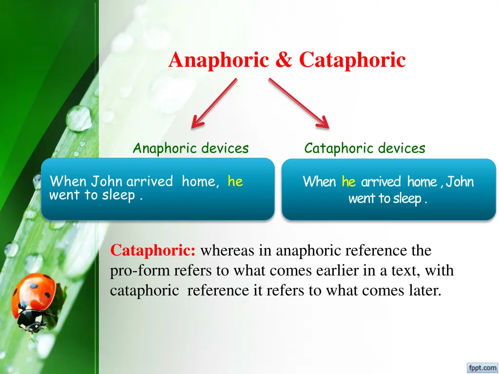 anaphoric cataphoric