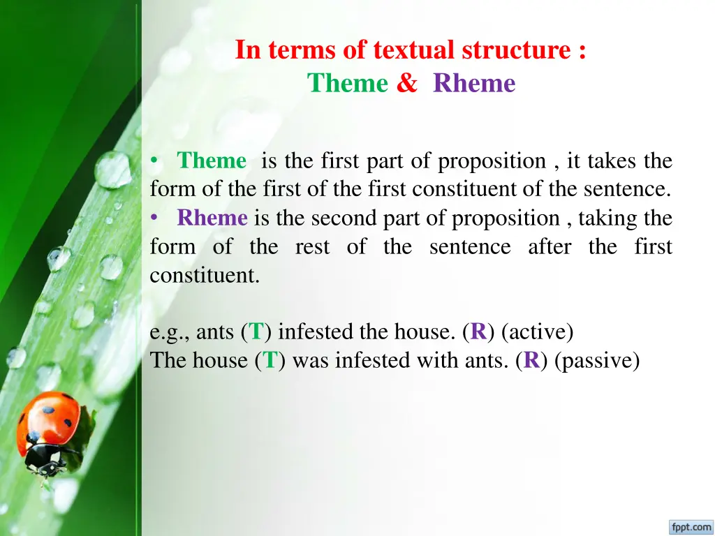 in terms of textual structure theme rheme