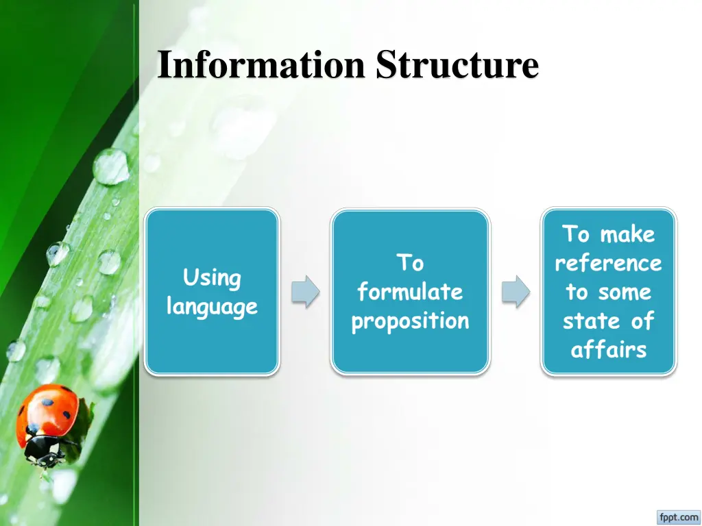 information structure 1