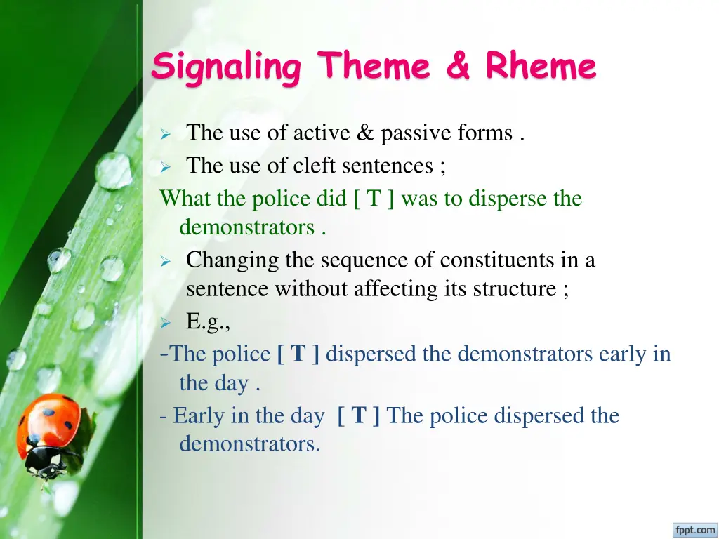 signaling theme rheme