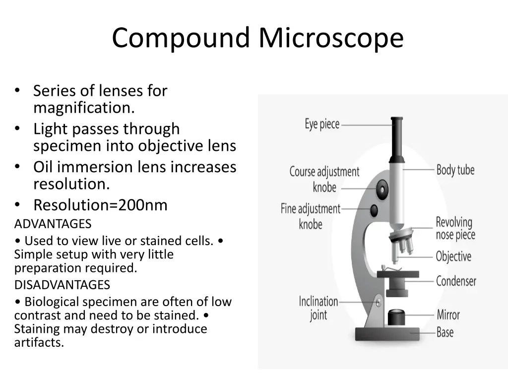 compound microscope