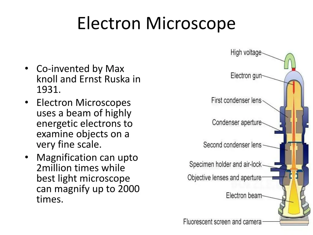electron microscope