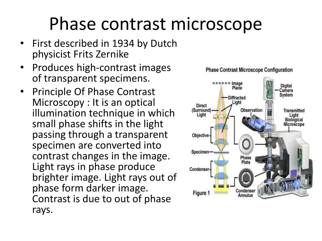 phase contrast microscope first described in 1934