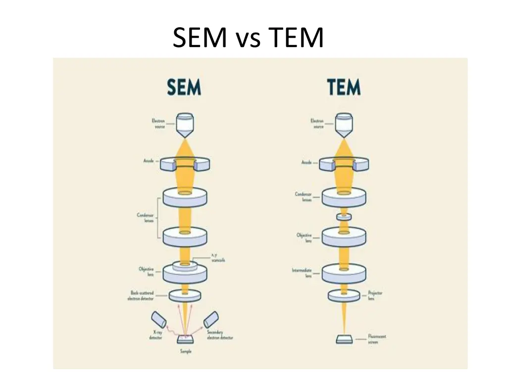 sem vs tem