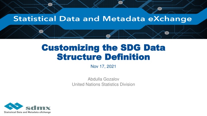 customizing the sdg data customizing the sdg data