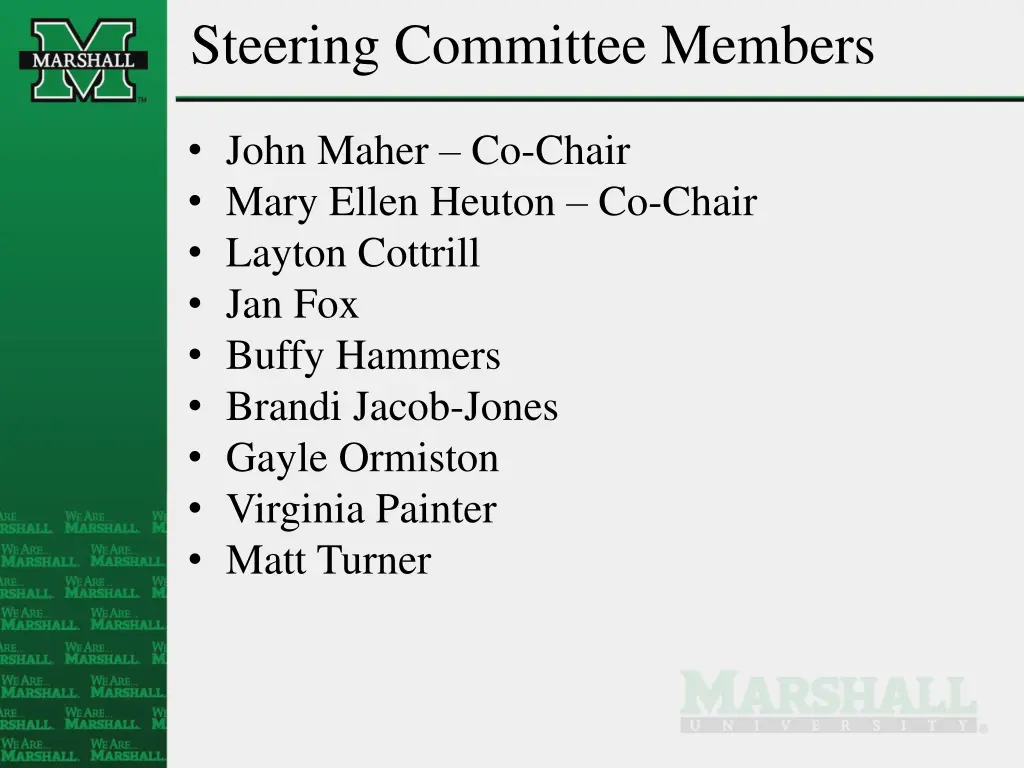 steering committee members