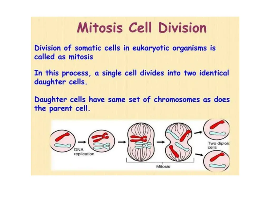 slide5