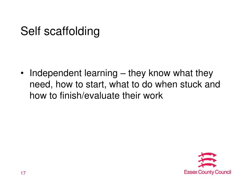 self scaffolding