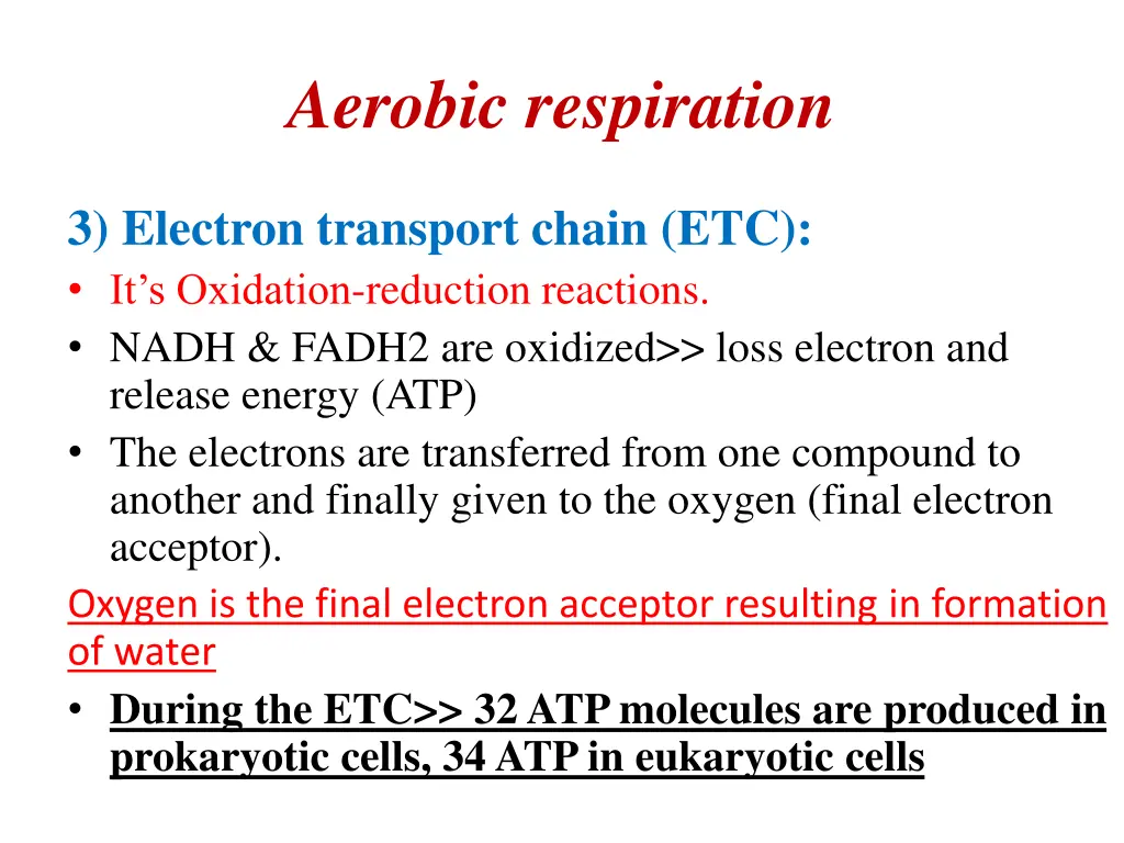 aerobic respiration 2