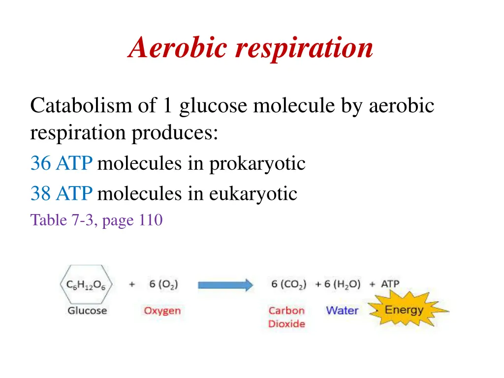 aerobic respiration 3
