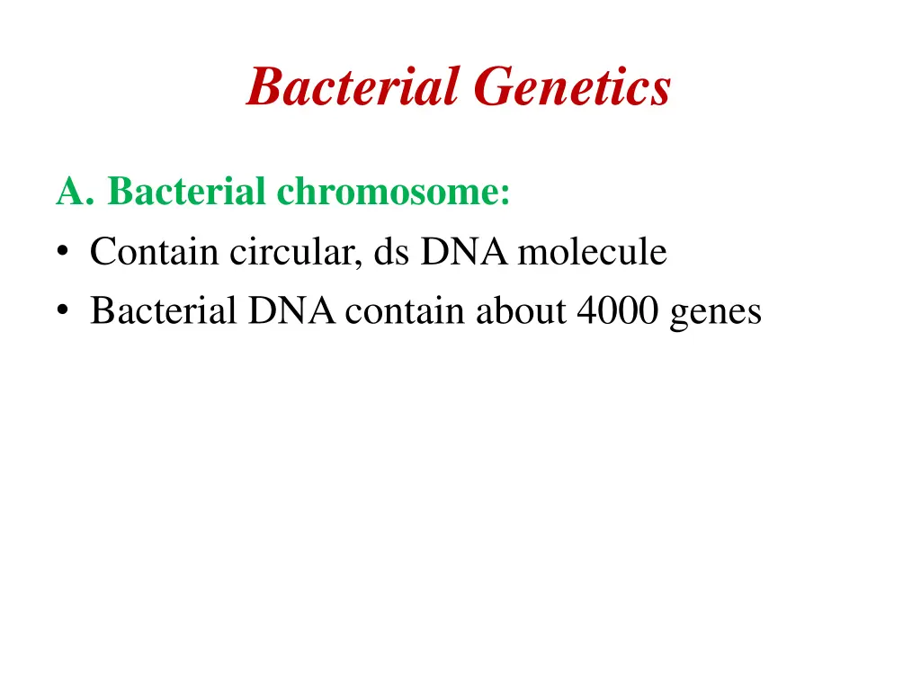 bacterial genetics 1