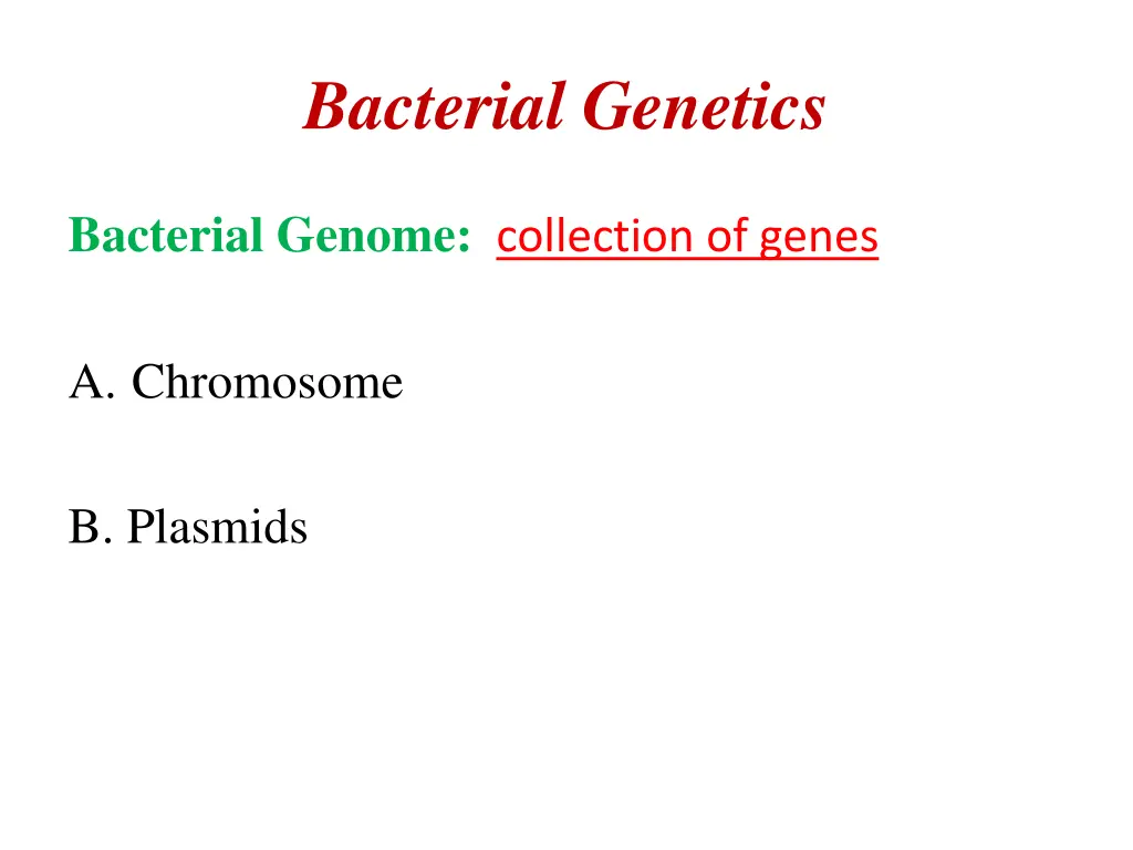 bacterial genetics