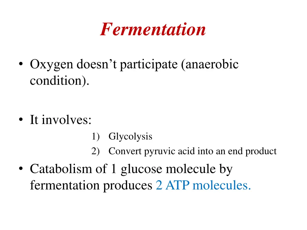 fermentation