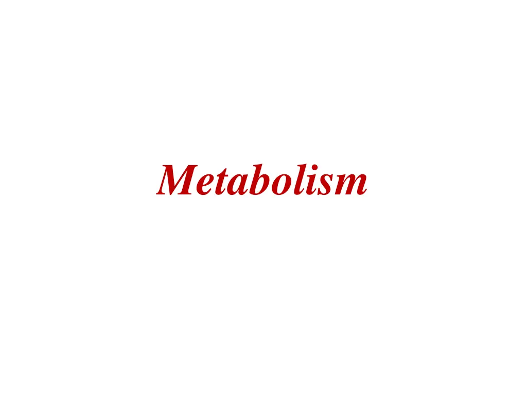 metabolism