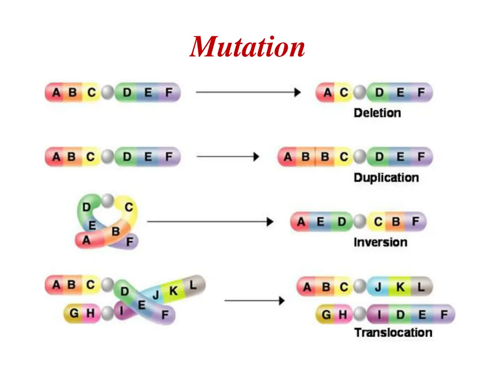 mutation 1
