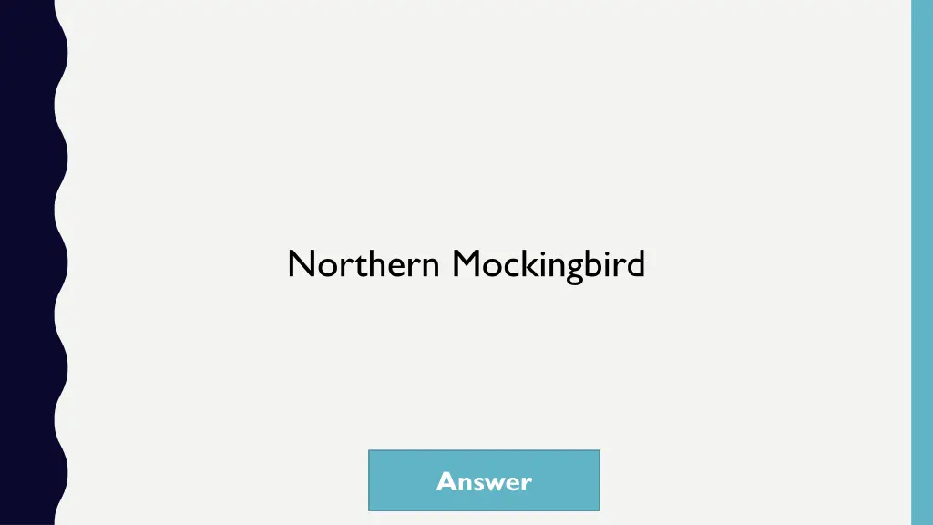 northern mockingbird