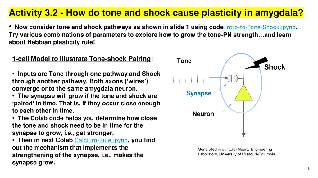 activity 3 2 how do tone and shock cause