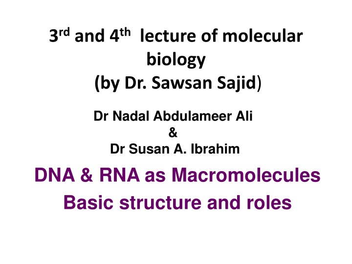 3 rd and 4 th lecture of molecular biology