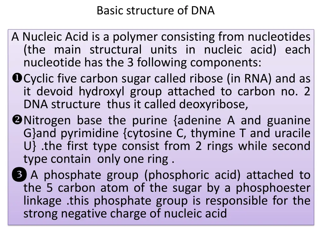 basic structure of dna