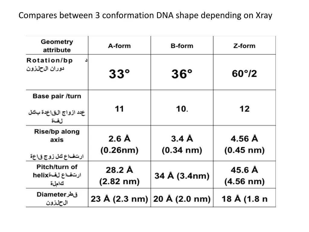 compares between 3 conformation dna shape