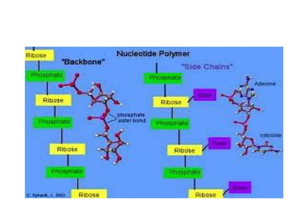 slide13