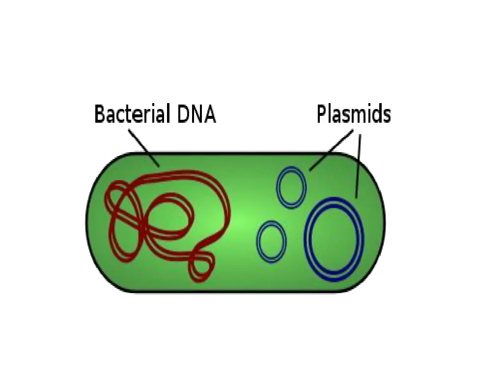 slide20