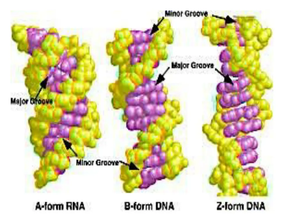 slide32