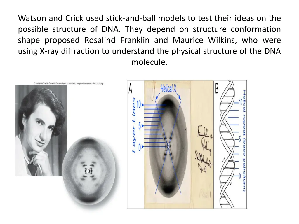 watson and crick used stick and ball models