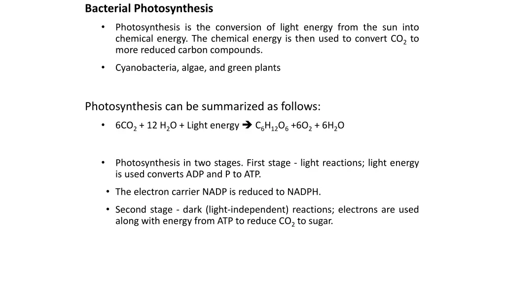 bacterial photosynthesis
