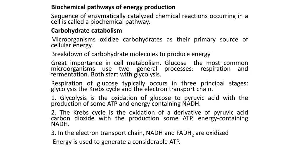 biochemical pathways of energy production