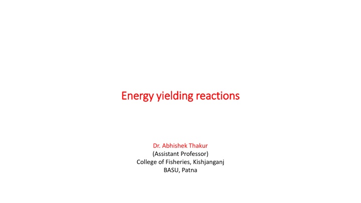 energy yielding reactions energy yielding