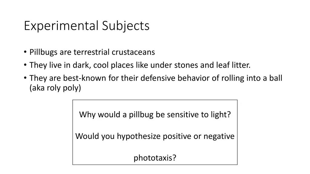 experimental subjects