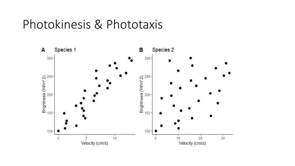 photokinesis phototaxis